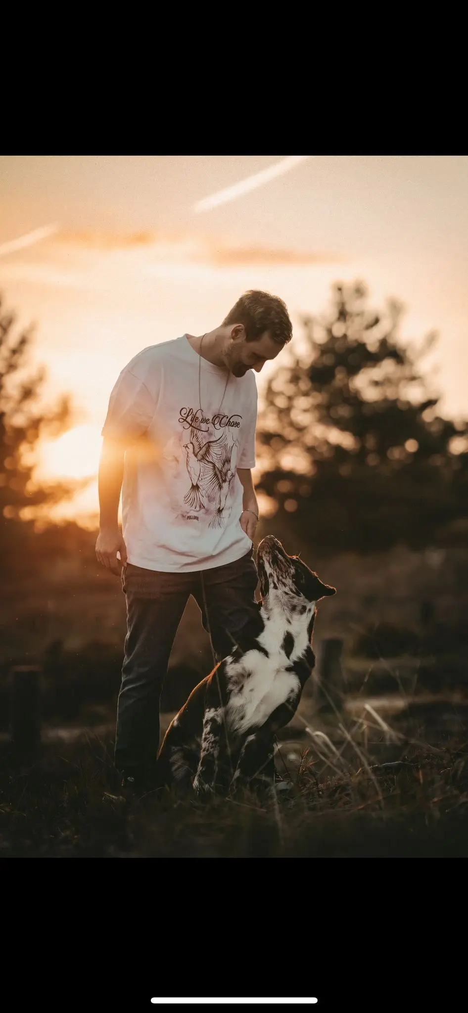 Tim - Professioneller Hundetrainer